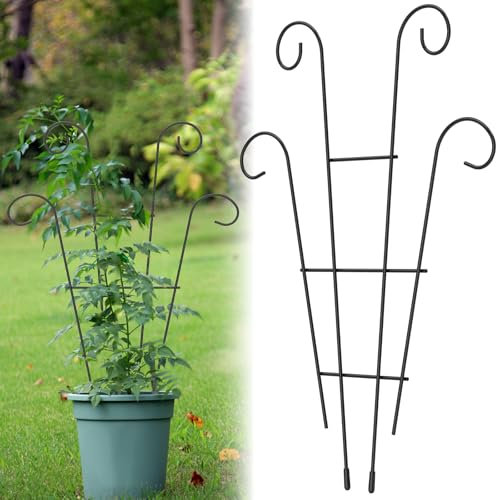 BAODBF Rankhilfe Zimmerpflanzen Metall Pflanzkübel Rankgitter 40×30CM Rost- und Korrosionsbeständig Pflanzen Rankhilfe Blumen Kletterhilfe für Weinreben,Rosen,Erbsen