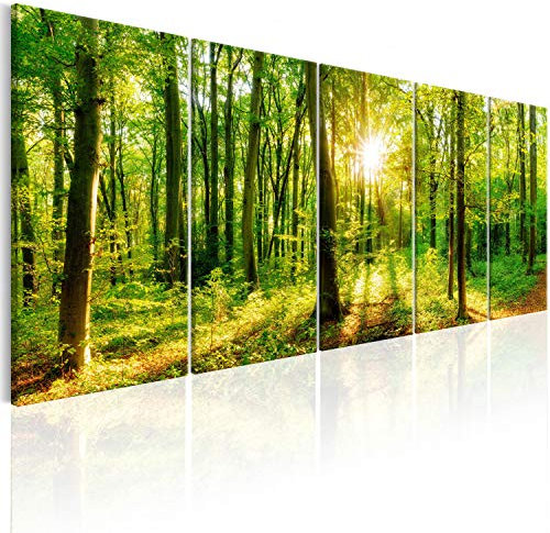 murando Impression sur Verre Acrylique 5 Parties Imprimée Tableau Photo Image Pret a Accrocher Murale Moderne Décoration Nature