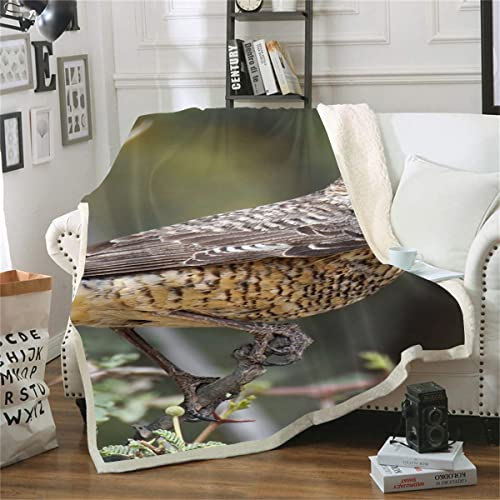 BBVNFLIR Fleecedecke Bird Überwurfdecke für Couch Fleecedecke Schlafsofa und Bett Ganzjahresdecke (180x220cm) 3D-Druckdecke
