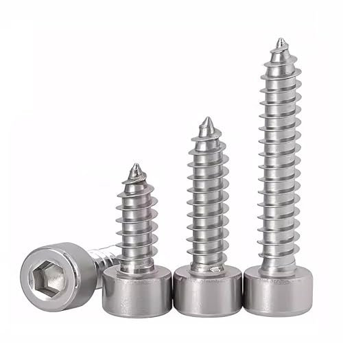 FandWay Viti Autofilettanti a Testa Cilindrica con Esagono Incassato,Viti Per Legno M4x8/12/16/20/25mm,Viti Testa Brugola Acciaio Inox A2 V2A Per DIY,Riparazioni Domestiche,Legno.