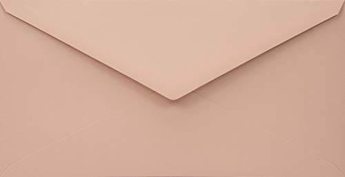 Netuno 25 enveloppes roses pâles longues recyclées DL 110x220 mm 110g Woodstock Cipria rabat pointu enveloppes vintage enveloppes colorées pour mariage anniversaire Noël invitations cartes de voeux