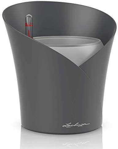 Lechuza - Orchidea Leisteengrijs mat All-IN-ONE