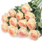 Mocoosy 12 rose artificiali fiori finti per decorazione, rose in seta champagne a stelo singolo, bouquet artificiale per matrimoni, feste di compleanno, decorazione per la casa e la tavola