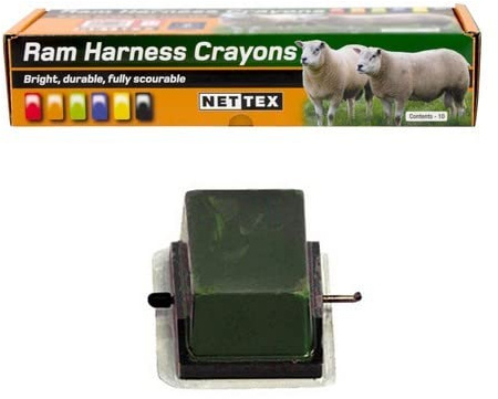 Nettex All Weather Sheep Marking Crayons - 10 Pack (Green)