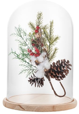 APACALI 1 Stück Glasglocke mit Holzboden, 30cm Dekorative Glashaube, Transparent Glasglocke, Glashaube Glasbox Glas, Glass Dome Cloche mit Boden für Lichter, Deko, Wohnaccessoire