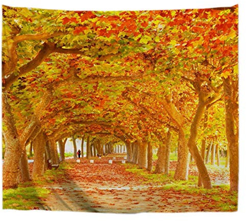A.Monamour Wanddekor Wandbild Vorhang Wandteppiche Herbst Jahreszeit Gelb Orange Ahornblätter Bäume Entlang Der Weg Natur Landschaft Fotodruck Polyester Tuch Wandbehang Für Wohnzimmer 180x230 cm