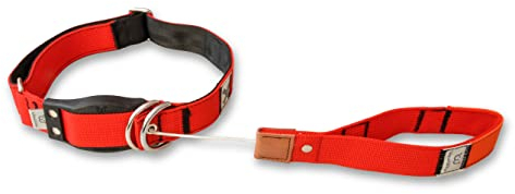 WowWow Professional Hundehalsband mit Leine - rot - Größe L 46-66 cm, 205g leicht, innovatives Halsband mit integrierter Leine - bekannt aus der Höhle der Löwen