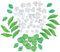 SUPERFINDINGS 6 Styles Perles de Fleurs Blanches en Verre avec Perles de Feuilles Vertes Perles de Fleurs en Acrylique Tulipe Fleur de clocher lys Fleur à Trois pétales kit de Perles Florales Gadgets
