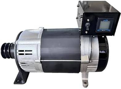 Generatore Portatile a Gas e Diesel 5-10 kW per Uso Domestico – 220 V monofase, Bobina in Rame con Scatola di Giunzione (6 kW)