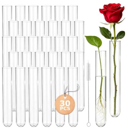 30 Stück Reagenzgläser Glas mit Reinigungsbürste,20 x 150mm Länge Reagenzglas Vase mit Rundboden,Transparente Laborröhrchen für Blumen Pflanzen Liquids DIY-Handwerk Laboratorien