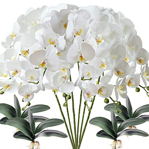FagusHome 6 Pz Fiori Orchidea Phalaenopsis Fiori Artificiali 80cm con 4 Pz Foglie d'orchidea phalaenopsis Artificiale Fiori Finti