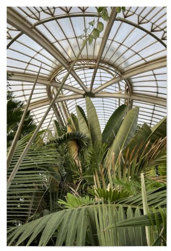 artboxONE Poster 75x50 cm Reise KEW Botanischer Garten - Bild Vereinigtes königreich botanischer Garten Fotografie