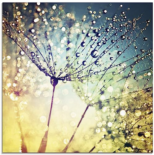 ARTland Wanddeko Glasbilder Wandbild Glas Bild einteilig 30 x 30 cm Quadratisch Natur Zauber Idyll Mikro Makro Pusteblume Blumen Wasser Tropfen Tau S9MI