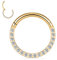 AROWRO Nasenringe Septum Clicker Nasenreifenring 316L Chirurgischer Stahlknorpel Daith Helix Ohrringe Creolen Daith Piercingschmuck CZ Gepflastert 18G 6mm Gold