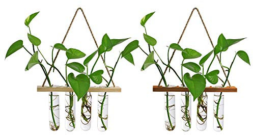 HUIKJI 2 macetas hidropónicas colgantes de cristal, estación de propagación de plantas para colgar en la pared, terrario con 4 jarrones de tubo de ensayo para la decoración del hogar de la oficina