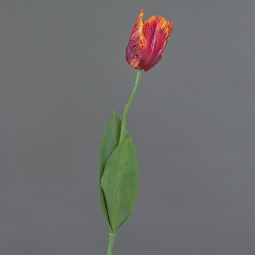 artplants.de Künstliche Papageientulpe Uakari, 65cm, Ø6cm | rot-pink-orange-grün - Kunst Papageientulpe