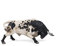 DQB DeQUBE- Bravo Berrendo Embistiendo Animal Figura de Toro, tierdruck, Multicolor, 17x8x4,2 (DeQUBE Trading S.L. 1)
