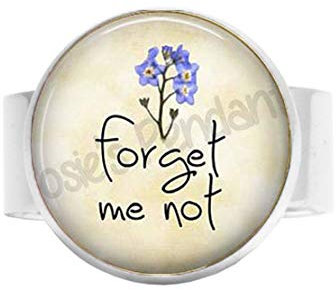 bab Forget Me Not-Blumen-Schmuck, Alzheimer-Alzheimer, Patientengeschenk, Gedenkgeschenk, Gedenken an mich, Vergissmeinnicht-Brosche, Blumenmuster, verstellbarer Ring, Bibelzitat, religiöser Schmuck,