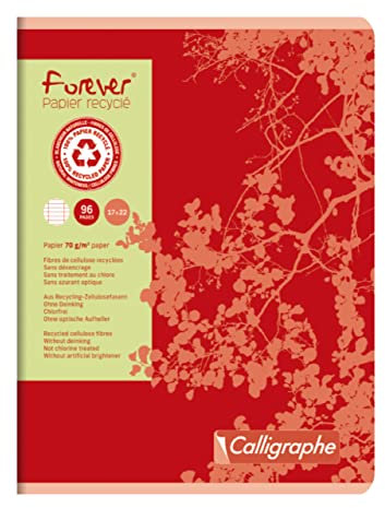 Clairefontaine 17103C - Packung mit 10 Heften Forever Calligraphe 17x22 cm, 48 Blatt, französische Lineatur, Recyling Papier 70g, sortierte Farben, 1 Pack