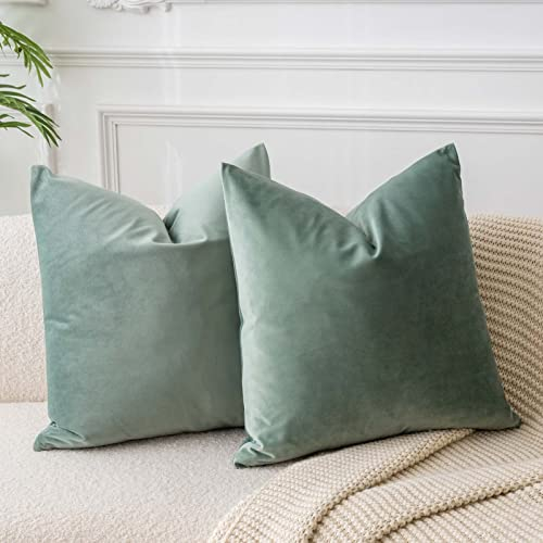 JUSPURBET Salbei Samt-Kissenbezüge 50cmx50cm 2er-Set für Wohnzimmer Couch Sofa Schlafzimmer Dekorative Quadratische Feste Weiche Kissenhüllen mit unsichtbarem Reißverschluss