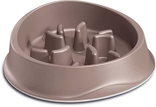 Zolux Gamelle Anti glouton Slow Feeder 1 Litre Taupe
