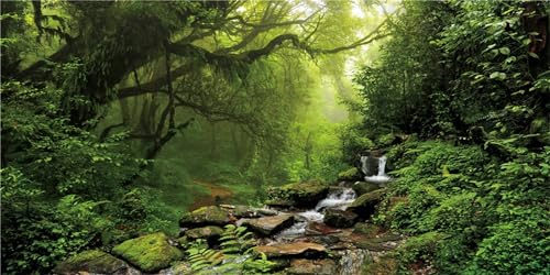 MIRRORANG 61x41cm Tropicale Foresta pluviale Terrario Sfondo Cascata Acquario Sfondo Lago Acqua Nebbioso Verde Albero Rettile Habitat Sfondo Durevole Vinile Sfondo