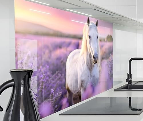 timalo Spritzschutz Wand für Herd, Küche Küchenrückwand Glasoptik | Acryl Glas 2mm | Glasrückwand Acrylglas Wandpaneele Rückwandschutz Platte | 120x80cm Weißes Pferd Lavendel