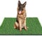 STARROAD-TIM 80*98 CM Kunstrasen Outdoor Hundeklo für Zuhause Hundetoilette Wohnung Hundetoilette Balkon Wiederverwendbare Trainingsunterlagen für Hunde Waschbar Haustier-Urinunterlage Rasen Dekoratio
