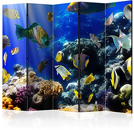murando Raumteiler Foto Paravent Unterwasserwelt 225x172 cm beidseitig auf Vlies-Leinwand Bedruckt Trennwand Spanische Wand Sichtschutz Raumtrenner Design Korallenriff Wasser Fisch Meer g-C-0167-z-c