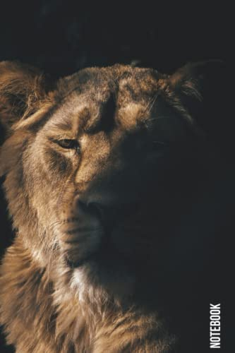 Lion Notebook