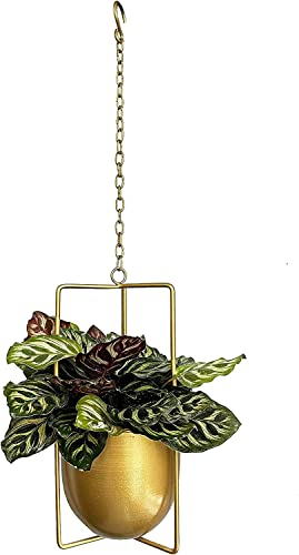 JUSUFU Metal Plant Hanger,Hanging Planters Indoor Hanging Flower Pots (Gold)…