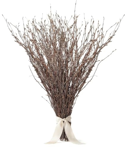 Sukh 40 ramoscelli di betulla naturale - 13,8 '' rami di betulla secca per la decorazione di vasi | Ramoscelli decorativi e rami per vaso, decorazione naturale per matrimoni, decorazioni per la casa, ghirlande artigianali