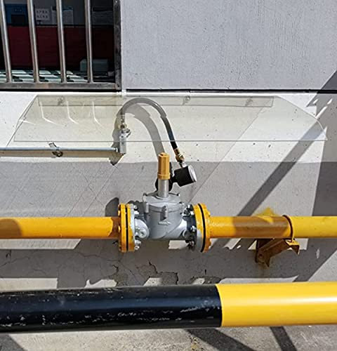 Gartenmarkisen, 40 x 120 cm/50 x 120 cm Portch Canopy Door Markise Canopy Rain Shelter Cover mit transparentem Polycarbonat, leicht zu reinigen, wetterfest (Siz