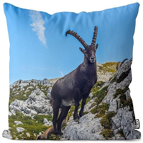 VOID Steinbock Alpen Berge Kissenbezug Kissenhülle Polyester Dekoration Outdoor Dekokissen, Kissen Größe:60 x 60 cm