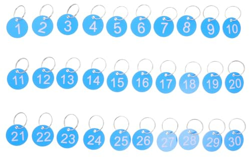 VILLCASE 30pcs Numbered Key Tags Round Numbered Tags 1.5inch Portable Easy to Handle Abs Plastic with Iron Rings for Organizing Keychains and Rubber Bands