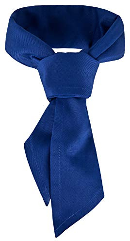 DESERMO Gastro Dreieckstuch 120x80cm | Hochwertiges Profi Halstuch aus dickem Mischgewebe (65% Polyester / 35% Baumwolle) | Berufsmode mit großer Farbauswahl | Schweisstuch mit hohem Stoffgewicht
