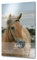 Pferdeschild Boxenschild mit Bild und Wunschtext | AluDidond Alu Verbundplatte | 20x30 cm | sofort personalisierbar | inkl. Brandzeichen & Motiven