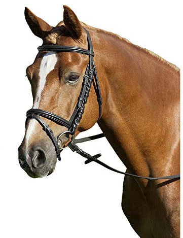 USG 14000001-399 Trensenzaum Basic, Schwarz, Englisches, RH, Größe: Shetty