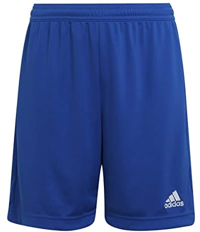adidas Unisex Kinder Entrada 22 Shorts, Royal Blue, 13-14 Years