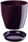 B2C Plant Pot Flower 20 Colours 9 sizes Gloss Plastic Plant Pots Planter Saucer Tray Deco (28 cm/ 11 inch, Plum)