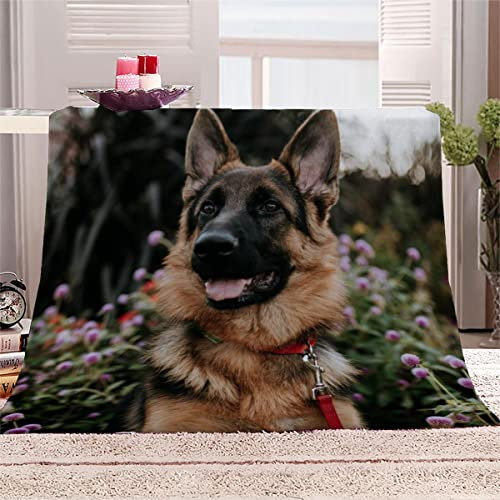 Lolosale Weiche Mikrofaser Decke mit Deutscher Schäferhund Muster Kuscheldecke Flauschige Flanelldecke 130x150 cm 3D Süße Tiere Sofadecke Klimadecke Reisedecke Wohndecke Outdoor Decke für Teenager