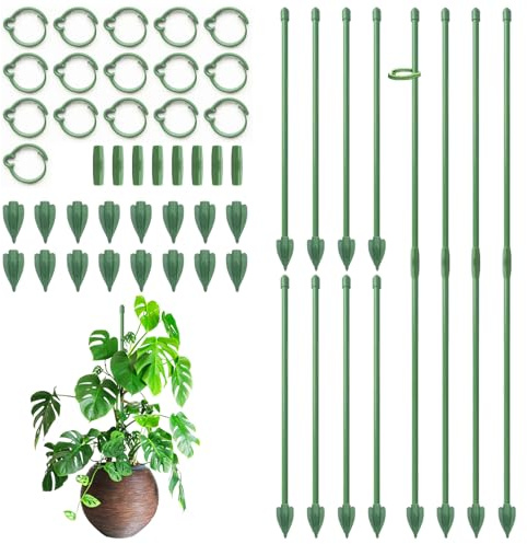 Pflanzenstütze, RIFNY 30cm Staudenhalter Rankhilfe Zimmer mit Clips | Pflanzenhalter für Monstera Orchideen Tomaten Rosen und Blumen, 16 Stück, Grün