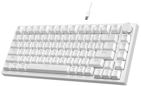 Tastatur, Hot-Swap-fähig, mechanisch, 75% TKL, RGB-Hintergrundbeleuchtung, kabelgebundenes Gaming mit Knopfsteuerung, Poronschaum, kompatibel mit einem Jazz AK820(White)