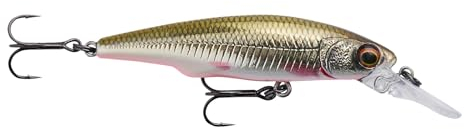 Savage Gear Gravity Twitch MR - Darten und Kicken Action Köder für Süßwasser Raubfische, magnetischer Weitwurf, eingebaute Rassel, Barsch, Hecht, Forelle, Barsch & mehr Dirty Plötze 8,3 cm