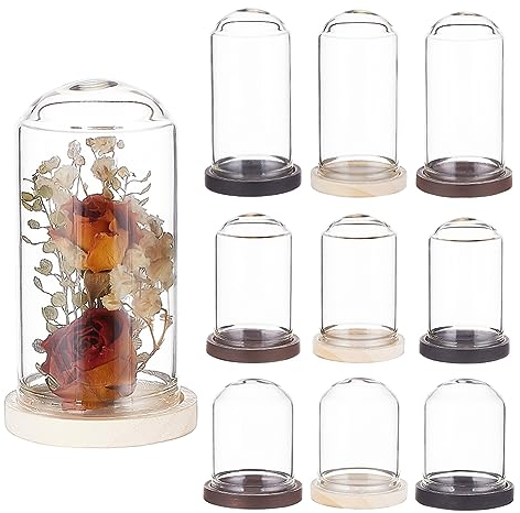 BENECREAT 15 Sets Mini Clear Glass Cloche Dome (40 50 60mm) Glass Display Cloche Dome with 3 Colors Solid Wood Base Cloche Bell Jar for Flower Decorations Crafts