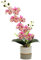 Générique Orchidée Réaliste en Jaune Artificiel dans Le Pot Phalaenopsis à Huit Têtes en Silicone avec Une Fleur de Papillon de Simulation Blanche à Huit Têtes (Rose)