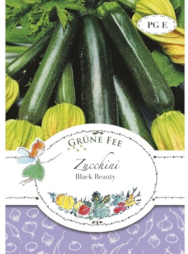 Grüne Fee - Zucchini Black Beauty Samen - 11573
