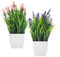 DAWRIS Pequeño Plantas Artificiales con Macetas, Plantas Verdes Decorativas Pequeñas, Fake Plants, Plásticos Mini Plantas Falsas para Ormitorio, Cocina Oficina Casa Decoración