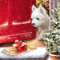 Servietten Papier 33x33cm 20 Stück mit Hunde Motiv - hochwertig & nachhaltig - Einweg Weihnachtsservietten 3-lagig - Papierservietten für Weihnachten Gastronomie Alltag - Rot Bunt