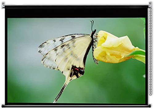 Portable manual projector screen, 60/72/84/100inch Roller Blind Adjustable Soft Screen Cloth Household Wall-mounted Wrinkle-free(100inch)